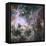 Star Formation in the Tarantula Nebula-null-Framed Premier Image Canvas