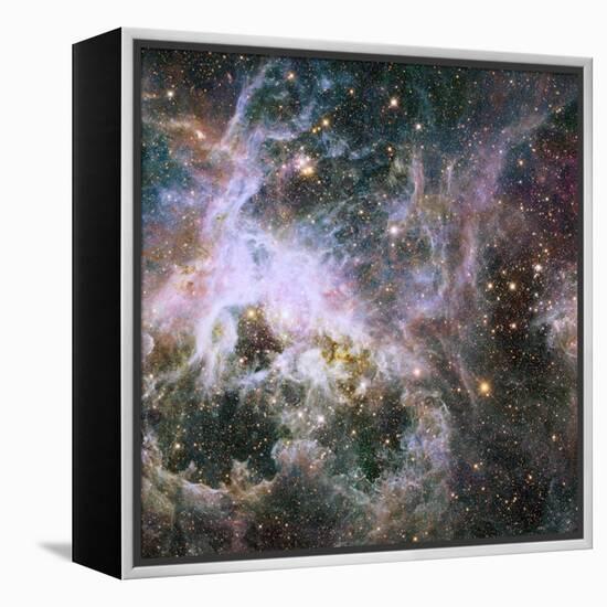 Star Formation in the Tarantula Nebula-null-Framed Premier Image Canvas