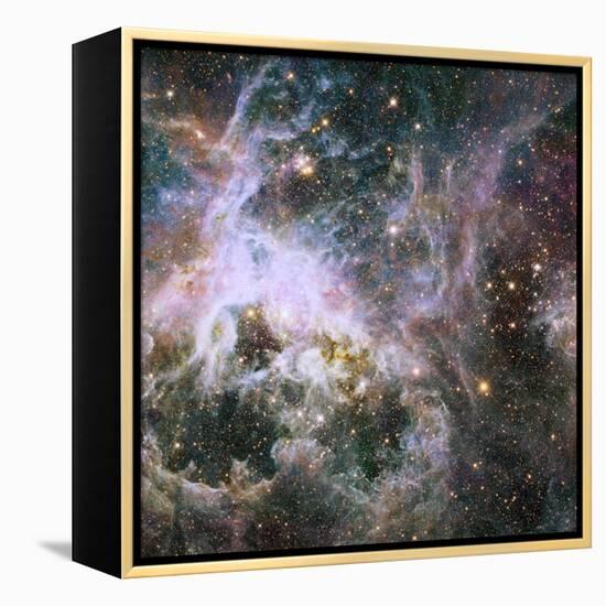 Star Formation in the Tarantula Nebula-null-Framed Premier Image Canvas