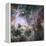 Star Formation in the Tarantula Nebula-null-Framed Premier Image Canvas