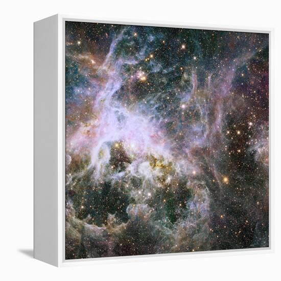 Star Formation in the Tarantula Nebula-null-Framed Premier Image Canvas