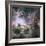 Star Formation in the Tarantula Nebula-null-Framed Photographic Print