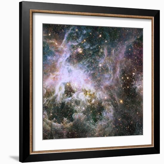 Star Formation in the Tarantula Nebula-null-Framed Photographic Print