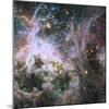 Star Formation in the Tarantula Nebula-null-Mounted Photographic Print