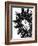 Star II - Noir-Oksana Leadbitter-Framed Giclee Print