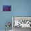Star Lit Dream-Natasha Wescoat-Mounted Giclee Print displayed on a wall