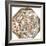 Star Map, Astronomicon Caesareum, 1540-Science Source-Framed Giclee Print