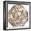 Star Map, Astronomicon Caesareum, 1540-Science Source-Framed Giclee Print