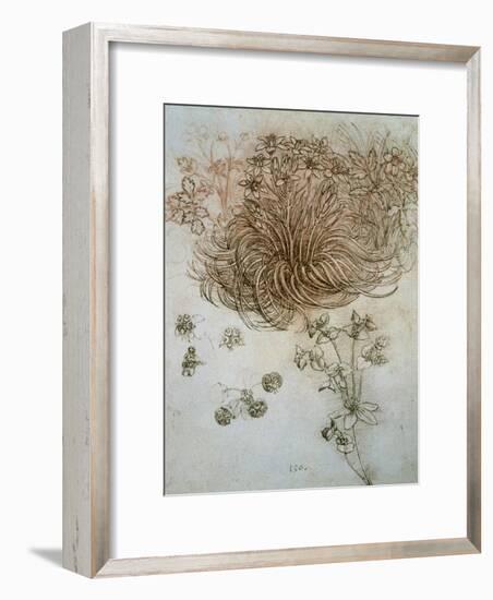 Star of Bethlehem, Wood Anemone and Sun Spurge-Leonardo da Vinci-Framed Premium Giclee Print