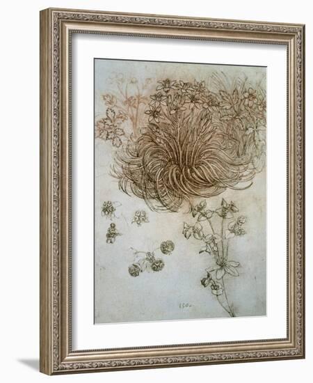 Star of Bethlehem, Wood Anemone and Sun Spurge-Leonardo da Vinci-Framed Art Print