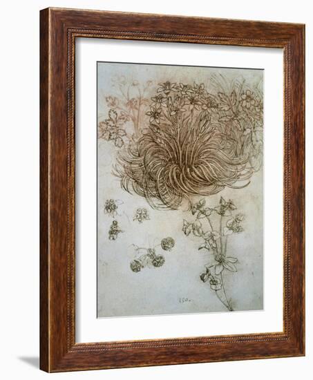 Star of Bethlehem, Wood Anemone and Sun Spurge-Leonardo da Vinci-Framed Art Print