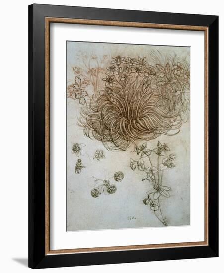 Star of Bethlehem, Wood Anemone and Sun Spurge-Leonardo da Vinci-Framed Art Print