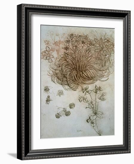 Star of Bethlehem, Wood Anemone and Sun Spurge-Leonardo da Vinci-Framed Art Print