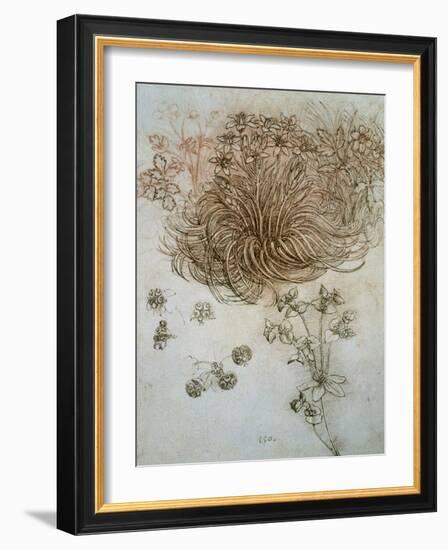 Star of Bethlehem, Wood Anemone and Sun Spurge-Leonardo da Vinci-Framed Art Print