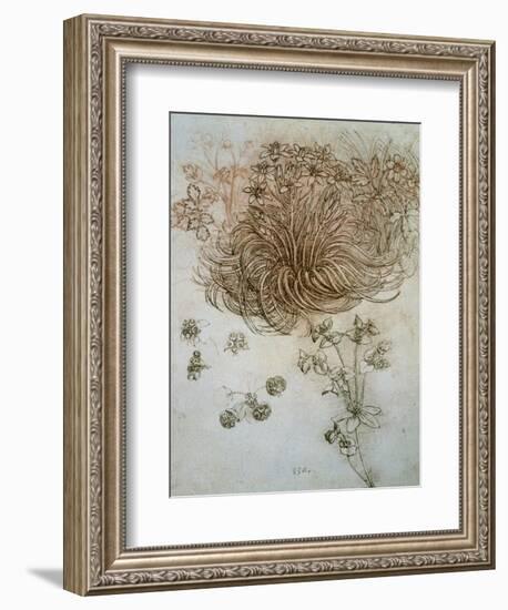 Star of Bethlehem, Wood Anemone and Sun Spurge-Leonardo da Vinci-Framed Art Print