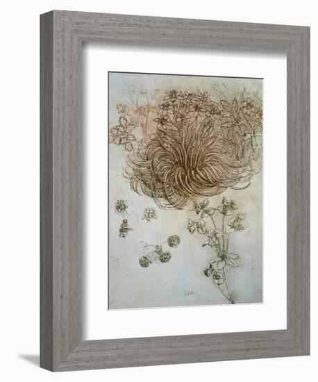 Star of Bethlehem, Wood Anemone and Sun Spurge-Leonardo da Vinci-Framed Art Print