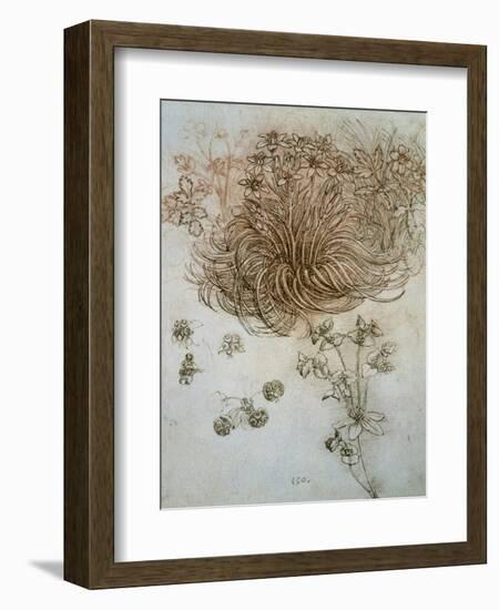 Star of Bethlehem, Wood Anemone and Sun Spurge-Leonardo da Vinci-Framed Art Print