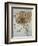 Star of Bethlehem, Wood Anemone and Sun Spurge-Leonardo da Vinci-Framed Art Print