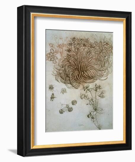 Star of Bethlehem, Wood Anemone and Sun Spurge-Leonardo da Vinci-Framed Art Print