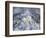 Star of Bethlehem-Zelda Fitzgerald-Framed Premium Giclee Print