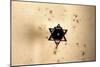 Star of David in Synagogue Budapest, Hungary-null-Mounted Photo