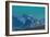 Star of the Morning, 1932 (Tempera on Canvas)-Nicholas Roerich-Framed Giclee Print