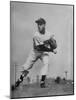 Star Pitcher Ned Garver Throwing Ball-Ed Clark-Mounted Premium Photographic Print