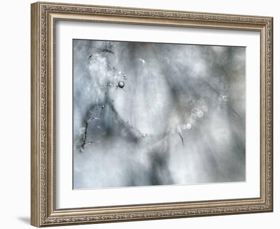 Star Player-Ursula Abresch-Framed Photographic Print