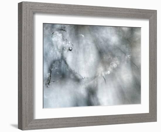 Star Player-Ursula Abresch-Framed Photographic Print