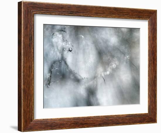 Star Player-Ursula Abresch-Framed Photographic Print