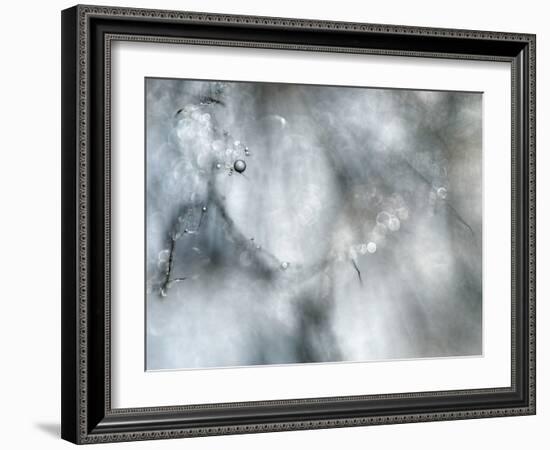 Star Player-Ursula Abresch-Framed Photographic Print