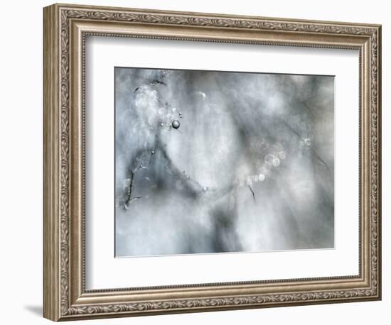 Star Player-Ursula Abresch-Framed Photographic Print