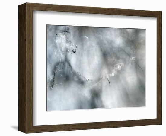 Star Player-Ursula Abresch-Framed Photographic Print