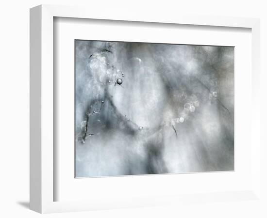 Star Player-Ursula Abresch-Framed Photographic Print