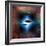 Star Ships Enter through Star Gate-rolffimages-Framed Photographic Print