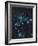 Star Sign - Aquarius, 2016-Vincent Alexander Booth-Framed Giclee Print