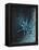 Star Sign - Geminii, 2016-Vincent Alexander Booth-Framed Premier Image Canvas