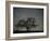 Star Trails, 20 Minutes Exposure Time, Pusztaszer, Hungary-Bence Mate-Framed Photographic Print