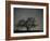 Star Trails, 20 Minutes Exposure Time, Pusztaszer, Hungary-Bence Mate-Framed Photographic Print