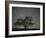 Star Trails, 20 Minutes Exposure Time, Pusztaszer, Hungary-Bence Mate-Framed Photographic Print