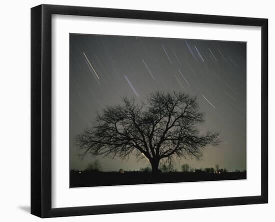 Star Trails, 20 Minutes Exposure Time, Pusztaszer, Hungary-Bence Mate-Framed Photographic Print