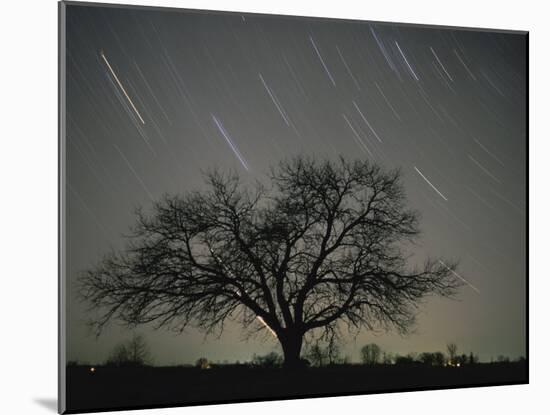 Star Trails, 20 Minutes Exposure Time, Pusztaszer, Hungary-Bence Mate-Mounted Photographic Print