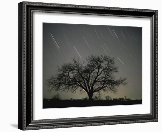 Star Trails, 20 Minutes Exposure Time, Pusztaszer, Hungary-Bence Mate-Framed Photographic Print