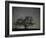 Star Trails, 20 Minutes Exposure Time, Pusztaszer, Hungary-Bence Mate-Framed Photographic Print