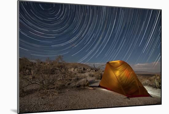 Star Trails Above a Campsite in Anza Borrego Desert State Park, California-null-Mounted Photographic Print