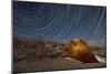 Star Trails Above a Campsite in Anza Borrego Desert State Park, California-null-Mounted Photographic Print