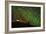 Star Trails and Aurora Borealis or Northern Lights, Iceland-Arctic-Images-Framed Photographic Print