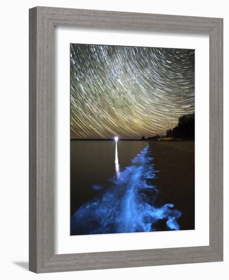 Star Trails And Bioluminescence, Gippsland Lakes, Australia-Stocktrek Images-Framed Photographic Print
