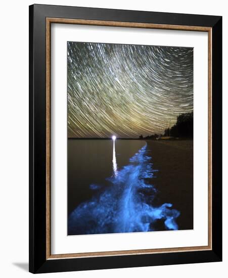 Star Trails And Bioluminescence, Gippsland Lakes, Australia-Stocktrek Images-Framed Photographic Print