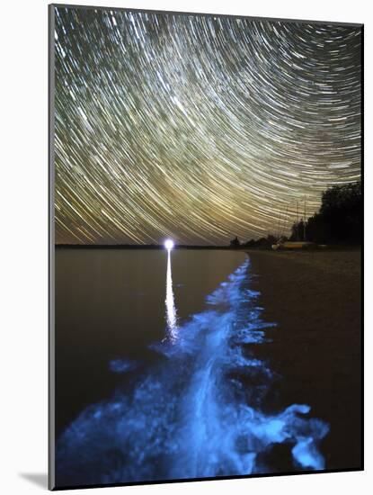 Star Trails And Bioluminescence, Gippsland Lakes, Australia-Stocktrek Images-Mounted Photographic Print